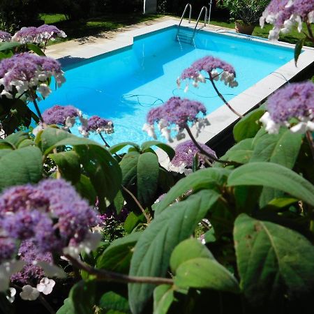 Four Seasons Apartment "Green Paradise" Филлах Экстерьер фото